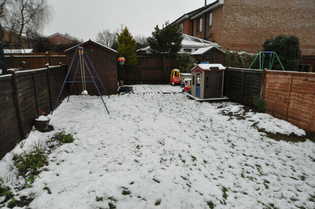 Photo 12