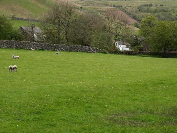 Field