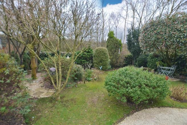 Back Garden