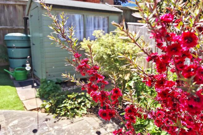 Garden Lifestyle