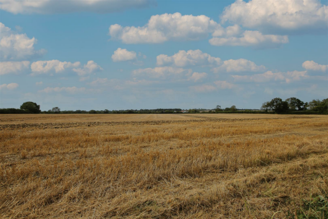 IMG_8958-30.png