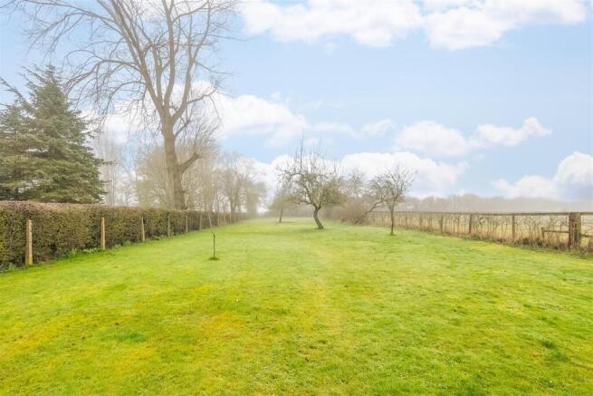 Jays, Roe Green-40.jpg