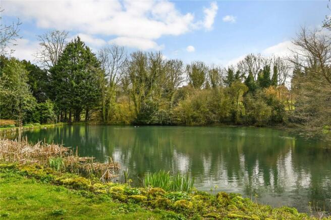 Pond