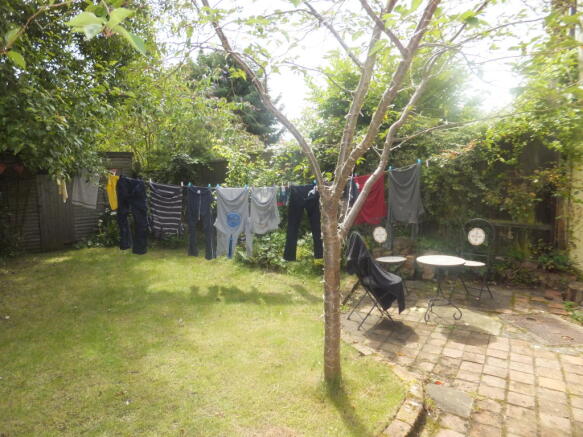 Photo 8