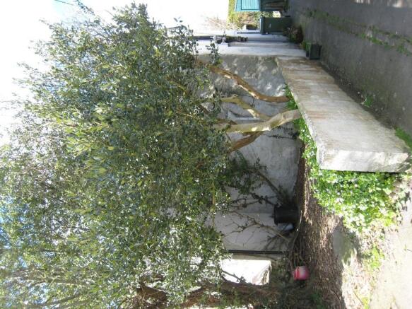 Photo 4