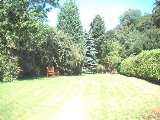 Communal garden