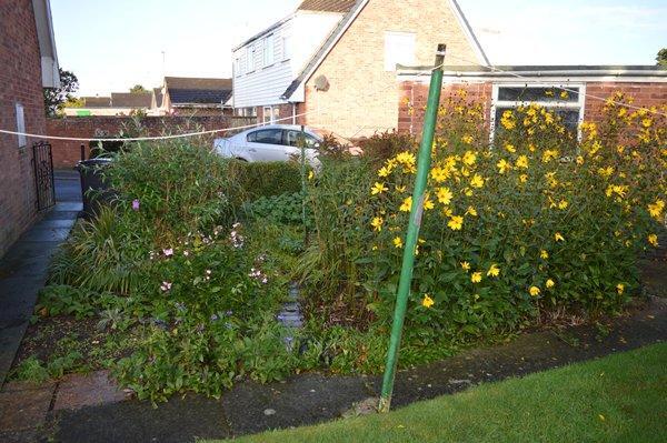 side garden