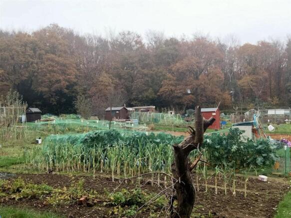 View of the allotment
