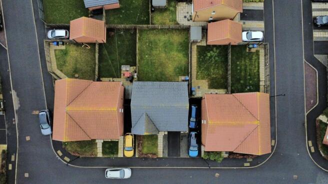 dji_fly_20260209_114356_217_1770637492012_photo_op