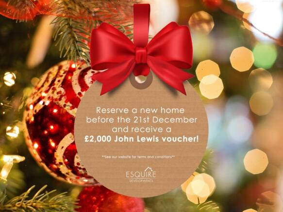 Christmas Incentive