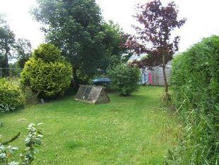 Picture 5