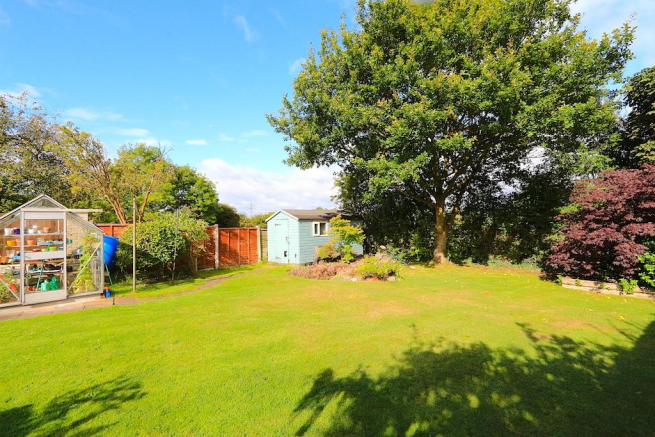 Rear Garden (Summer)