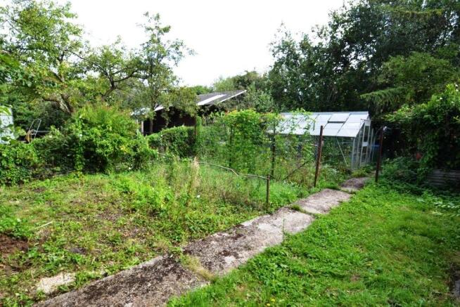 Vegetable patch