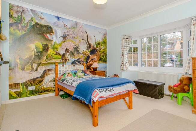 Photo 11