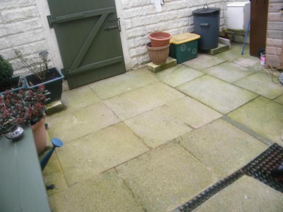 Rear Yard