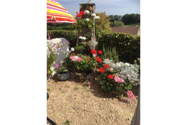 Cottage Garden