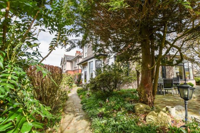 Photo 31