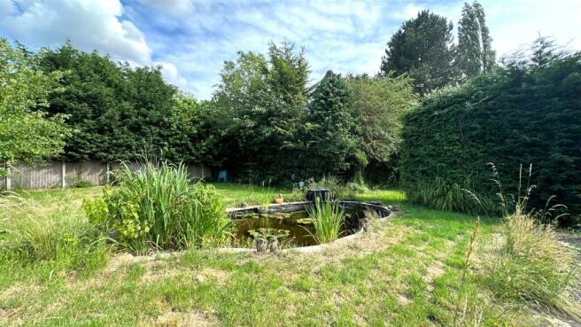 garden 3.JPG