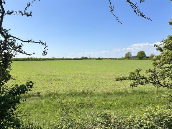 FIELDS VIEWS FROM REAR
