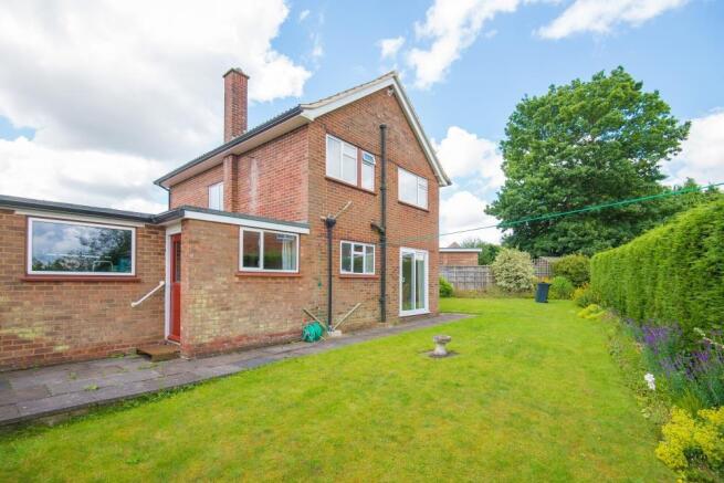 8 GARSON (10) - 800p