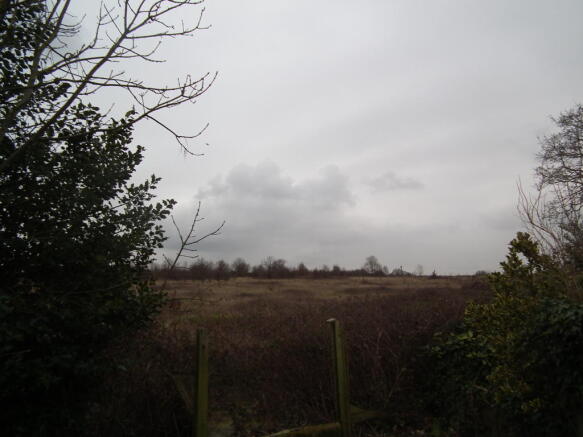 Field Views