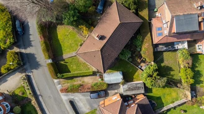 DJI_20260319110220_0008_D.jpg