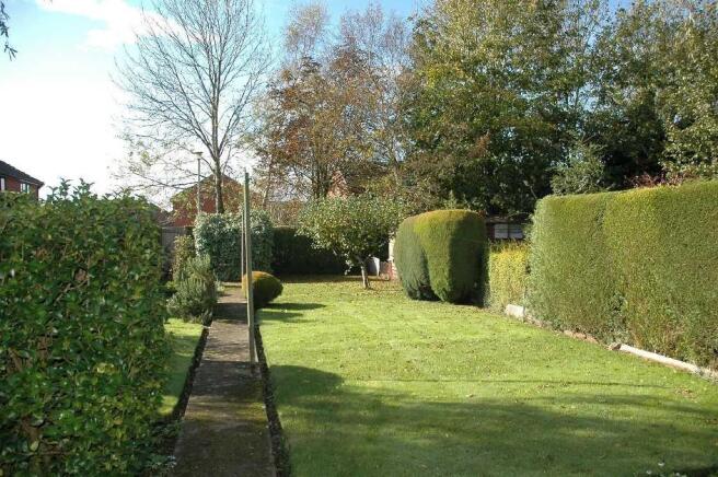 Garden Shot 1