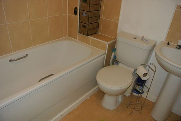 Photo 7