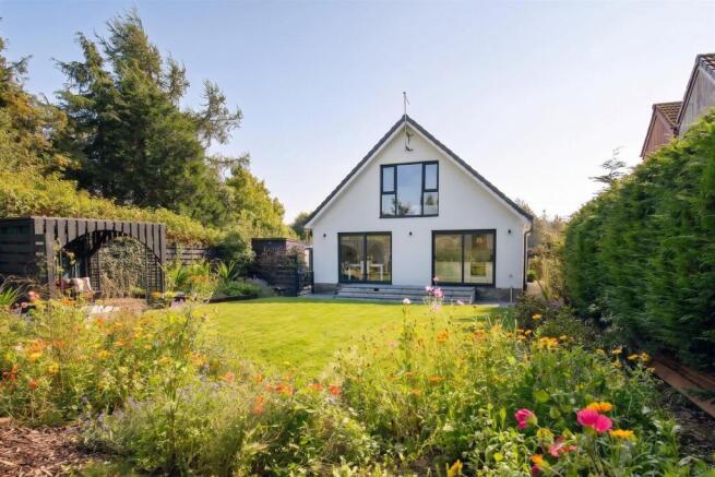 Back Garden