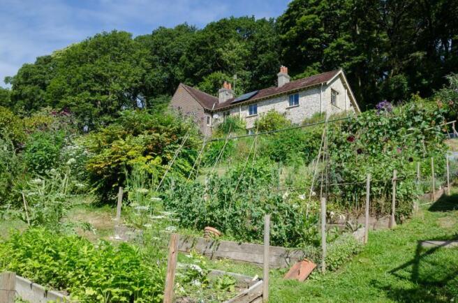Kitchen Garden
