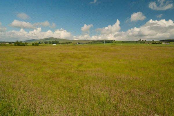 Lot 2 - Land
