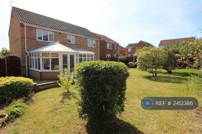 Back Garden