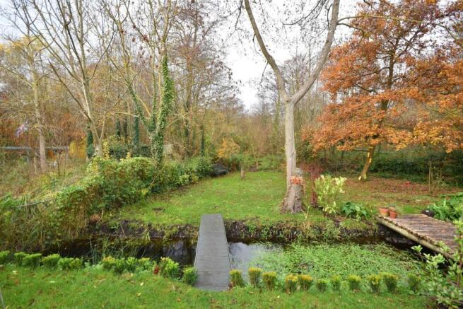 View to Woodland