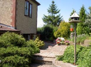Rear Patio