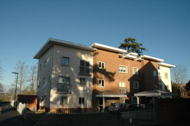 Rear Aspect