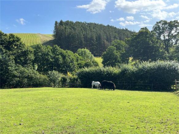 Grazing