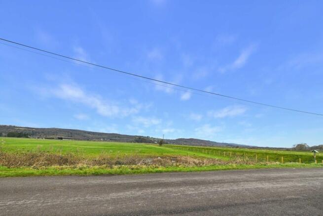 View from the fro...