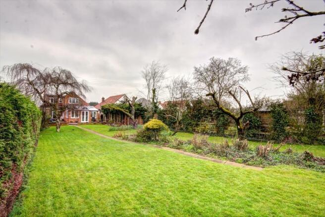 Garden 4.jpg