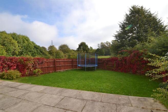 garden2.jpg