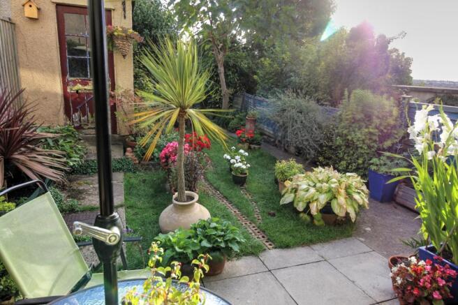 Garden 1