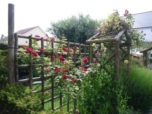 Rose Trellis
