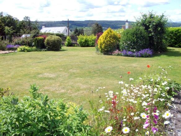 Garden in Summer