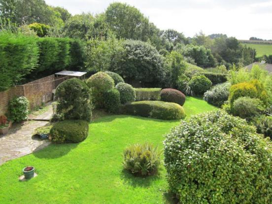 Rear Gardens