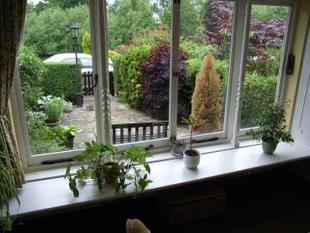 View to front garden