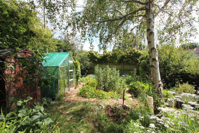 Vegetable plot