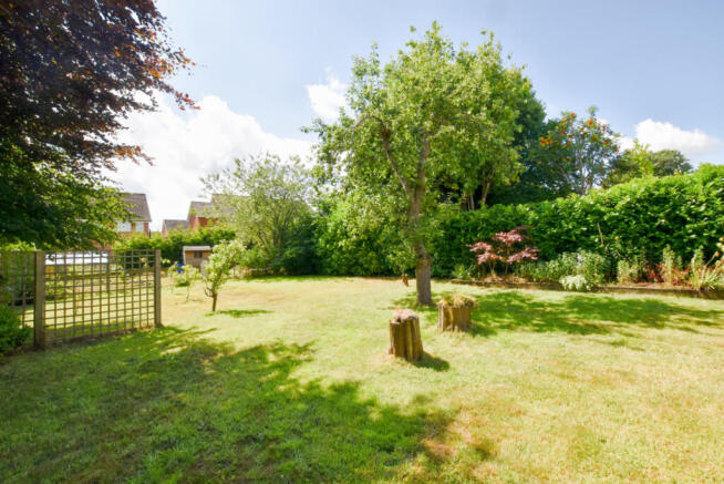 Rear Garden 2