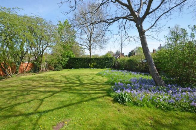 garden.JPG