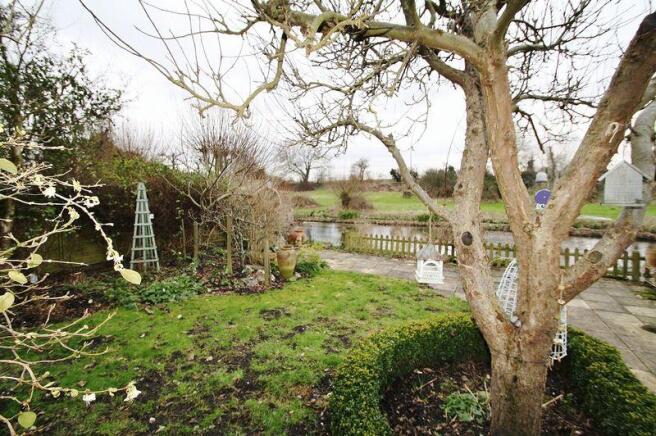 Garden shot 1