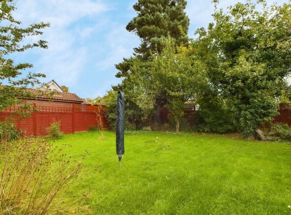 Back garden.JPG