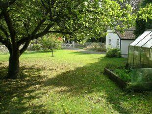 Side Garden